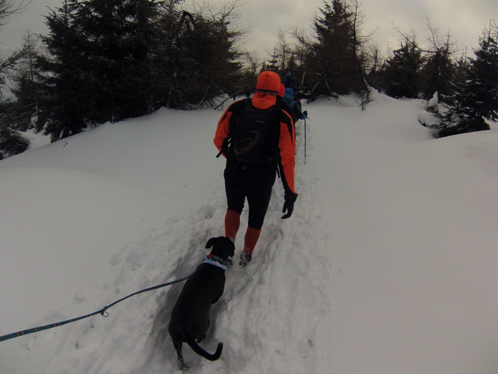 Wspinaczka na Halę Szrenicka
