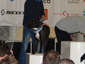 ZUK 2015 Negra na podium