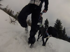 DCIM101GOPRO