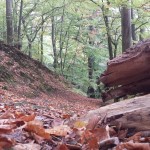 20151017_140429