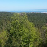 Trail Running widog z Zajęczego Wzgórza