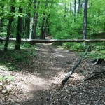 Trail Running Sopot ścieżka obok Łysej Góry