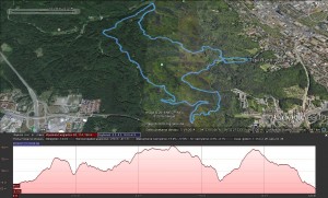 trail-running-oliwa