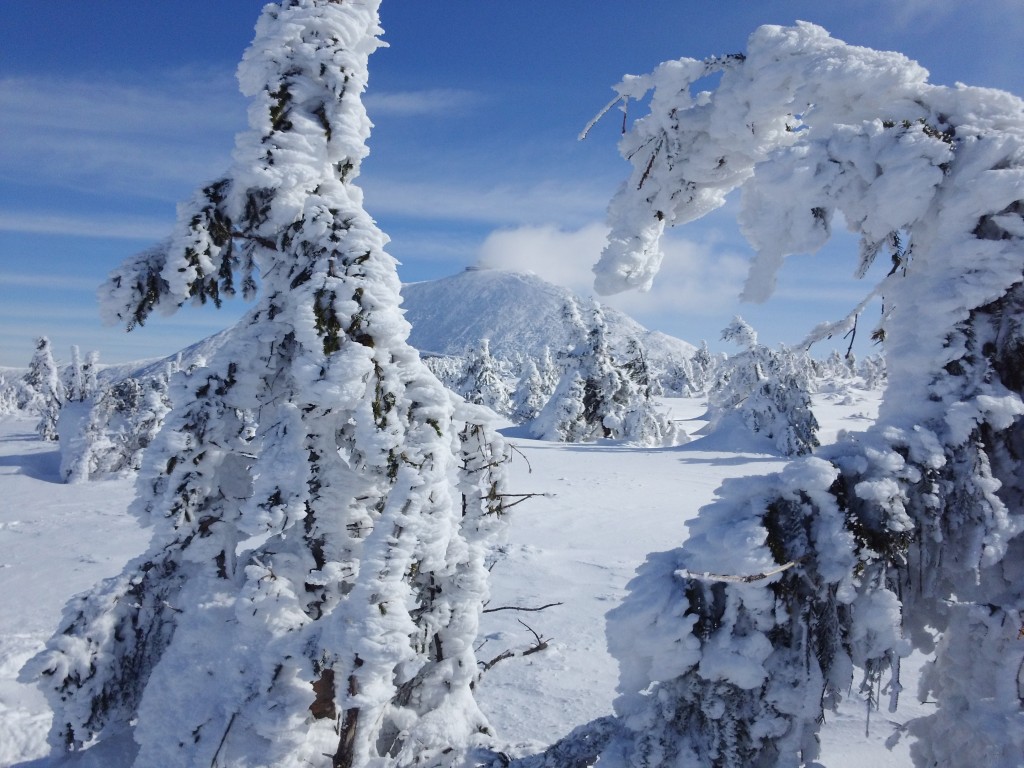 II Zimowy Maraton Karkonoski - Śnieżka